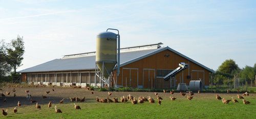 中国预制peb钢结构建筑预制10000鸡钢结构家禽养殖场鸡舍棚价格